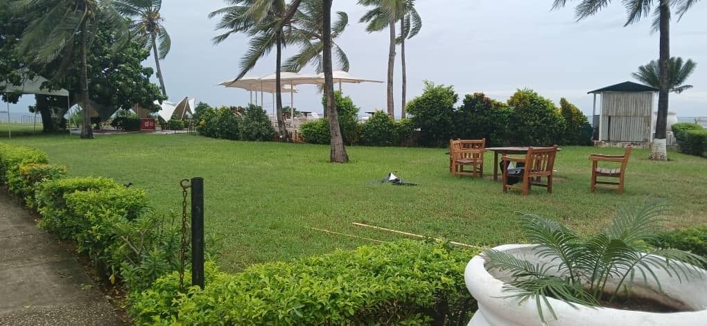 A grassy outdoor area with a table and chairs, surrounded by palm trees and a view of the sea.