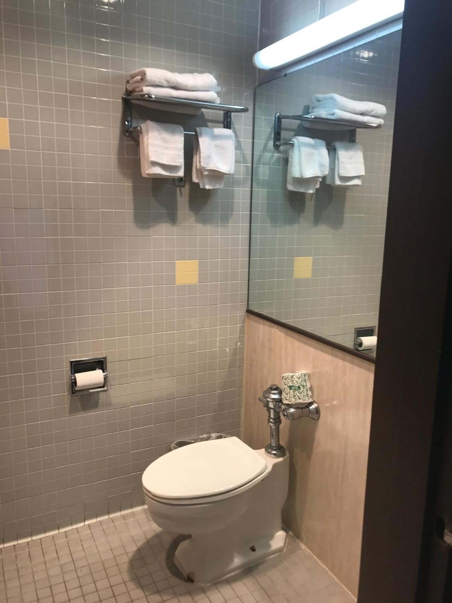 A bathroom with a toilet, a towel rack, and a mirror.