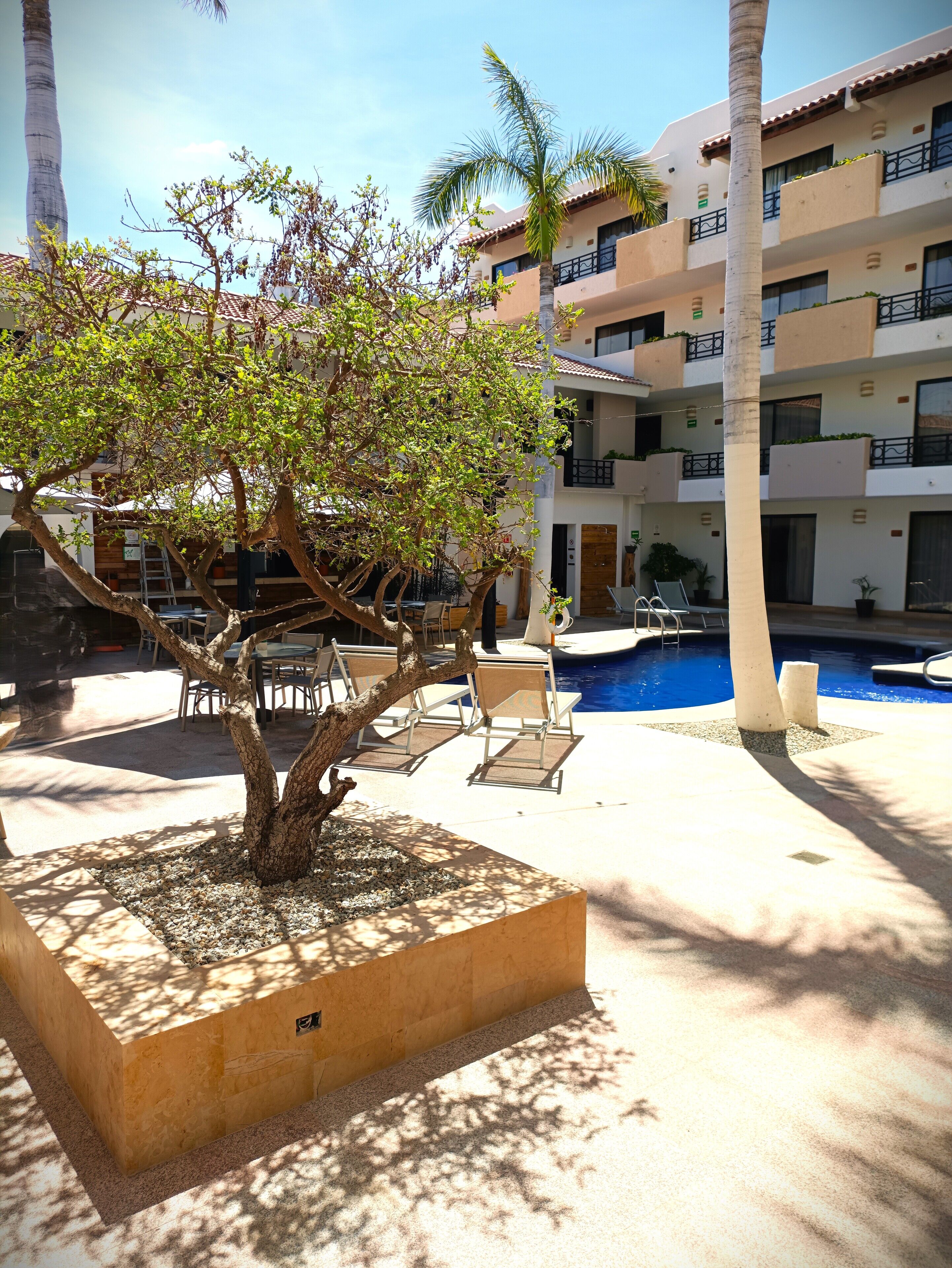 A poolside area with a tree planter, lounge chairs, and a building with balconies in the background.