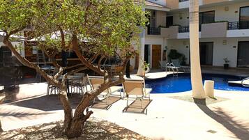 A poolside area with a tree planter, lounge chairs, and a building with balconies in the background.