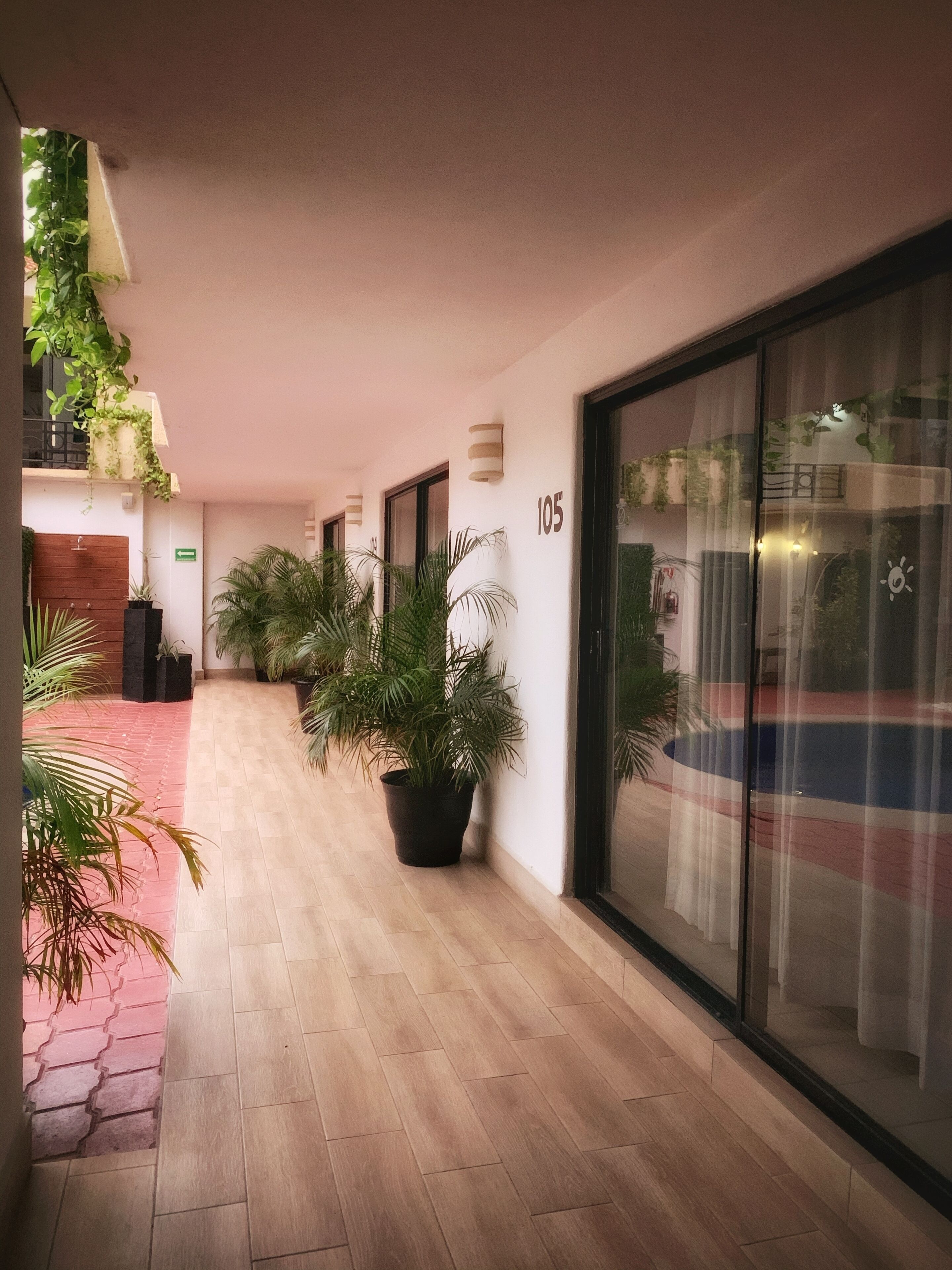 A hallway with potted plants, a wooden floor, and a glass door with a number sign.