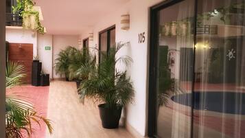 A hallway with potted plants, a wooden floor, and a glass door with a number sign.