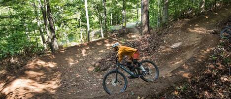 A mountain biker on a dirt trail surrounded by trees.