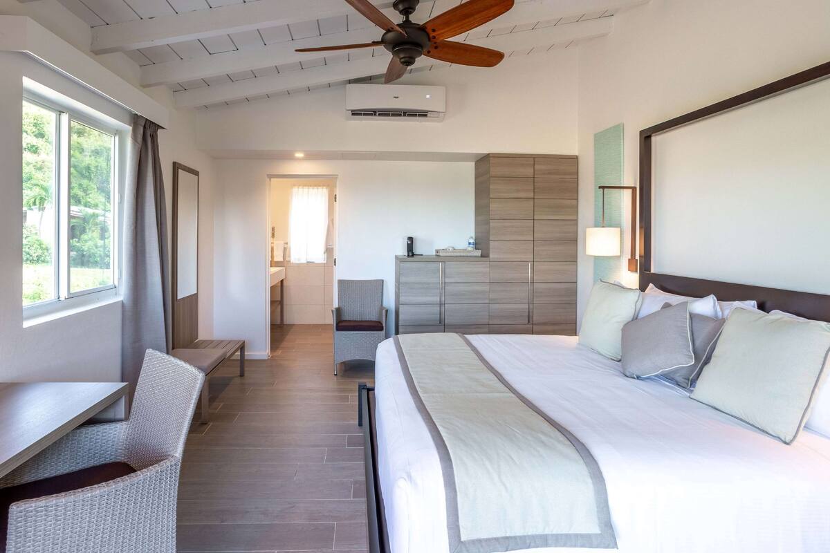 Une chambre d’hôtel équipée d’un lit, d’un bureau, d’une chaise, d’un ventilateur de plafond et offrant une vue sur l’extérieur.