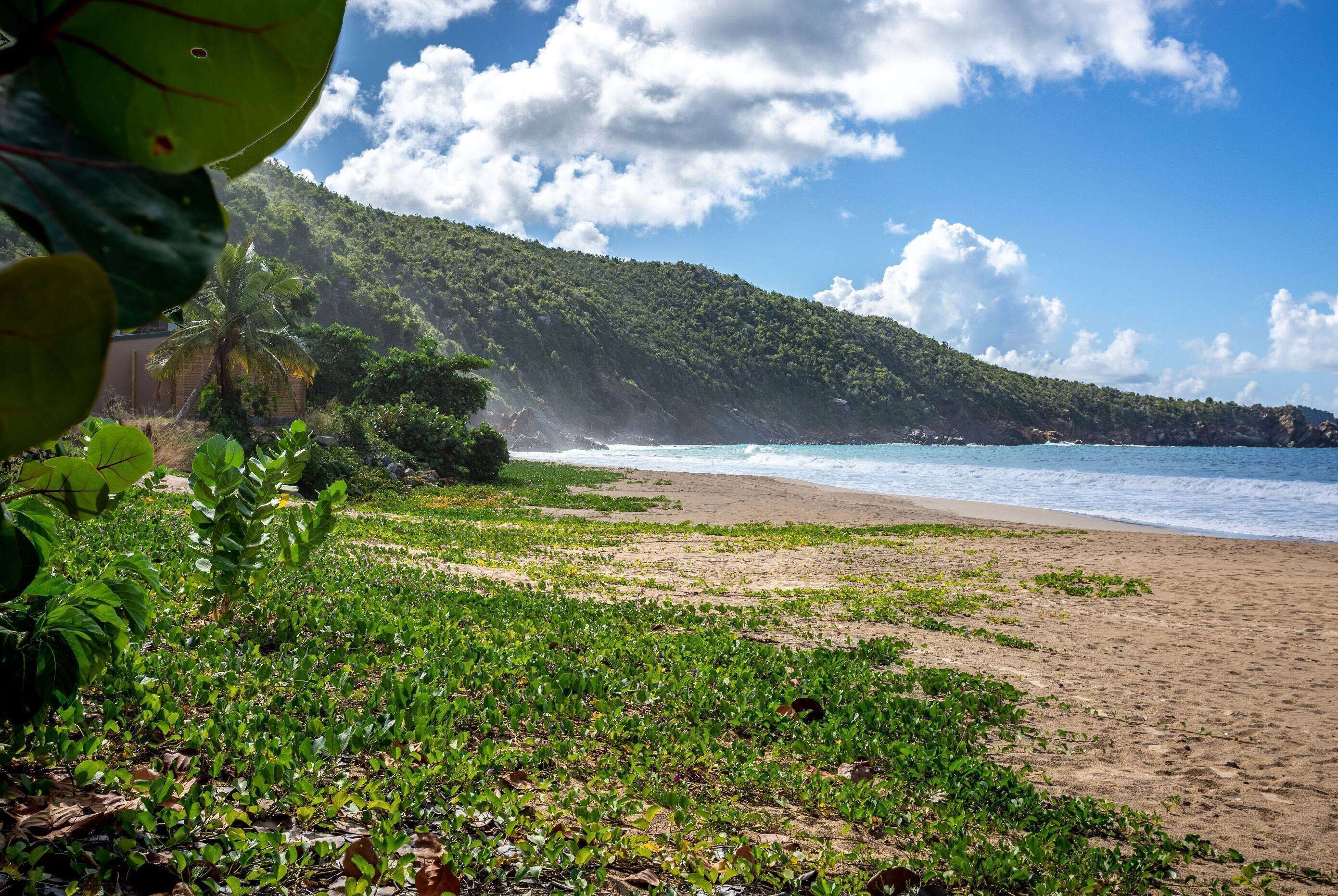 Una playa con vegetación verde y una montaña al fondo.