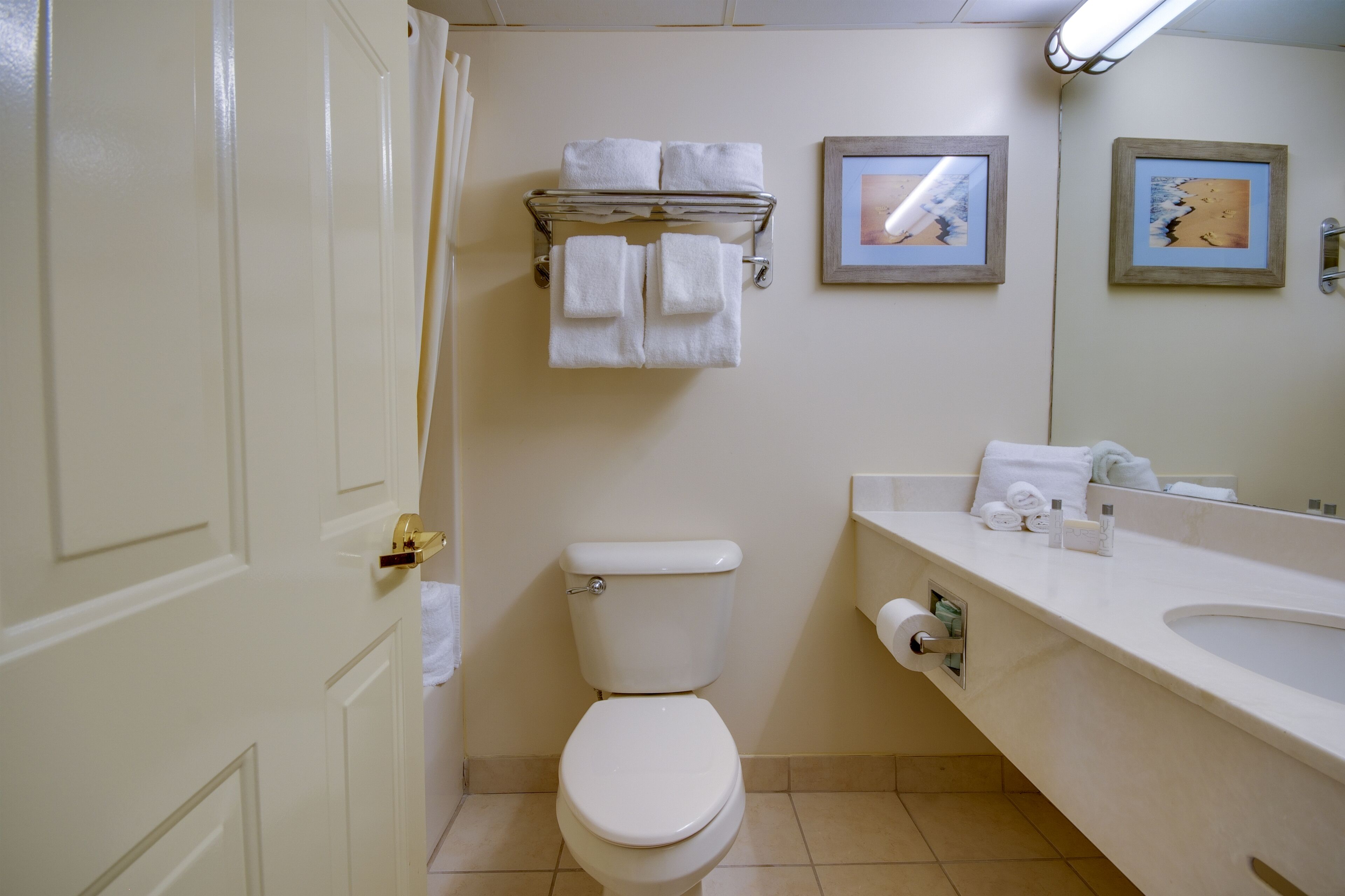 combined shower/bathtub, free toiletries, hair dryer, towels