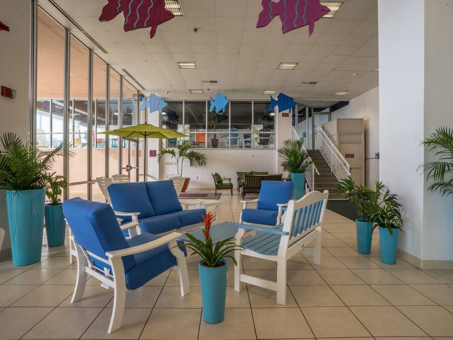 A spacious indoor area with blue and white furniture, potted plants, and a staircase leading to an upper level.