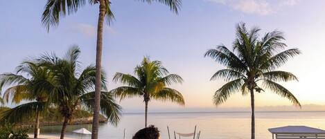 A couple sitting on a wooden deck overlooking a beach with palm trees and a view of the ocean.