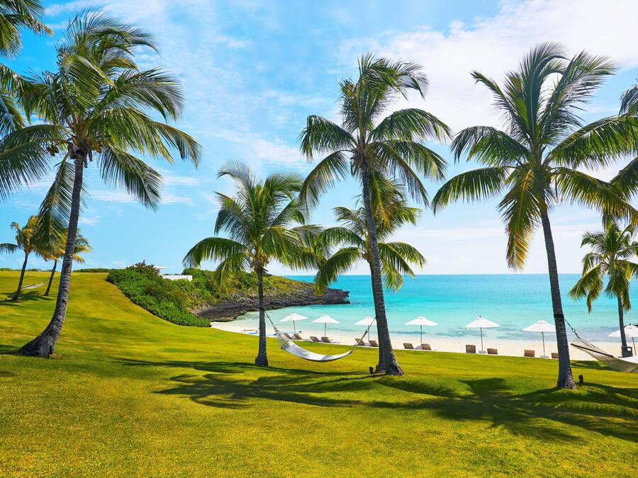 Escena de playa tropical con palmeras, una hamaca y sombrillas de playa.