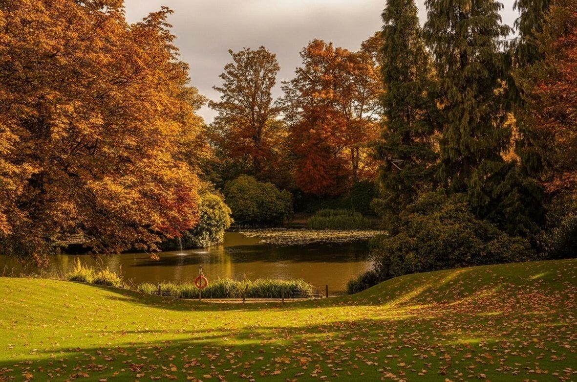 Ein friedlicher Park mit Teich, umgeben von Bäumen in Herbstfarben.