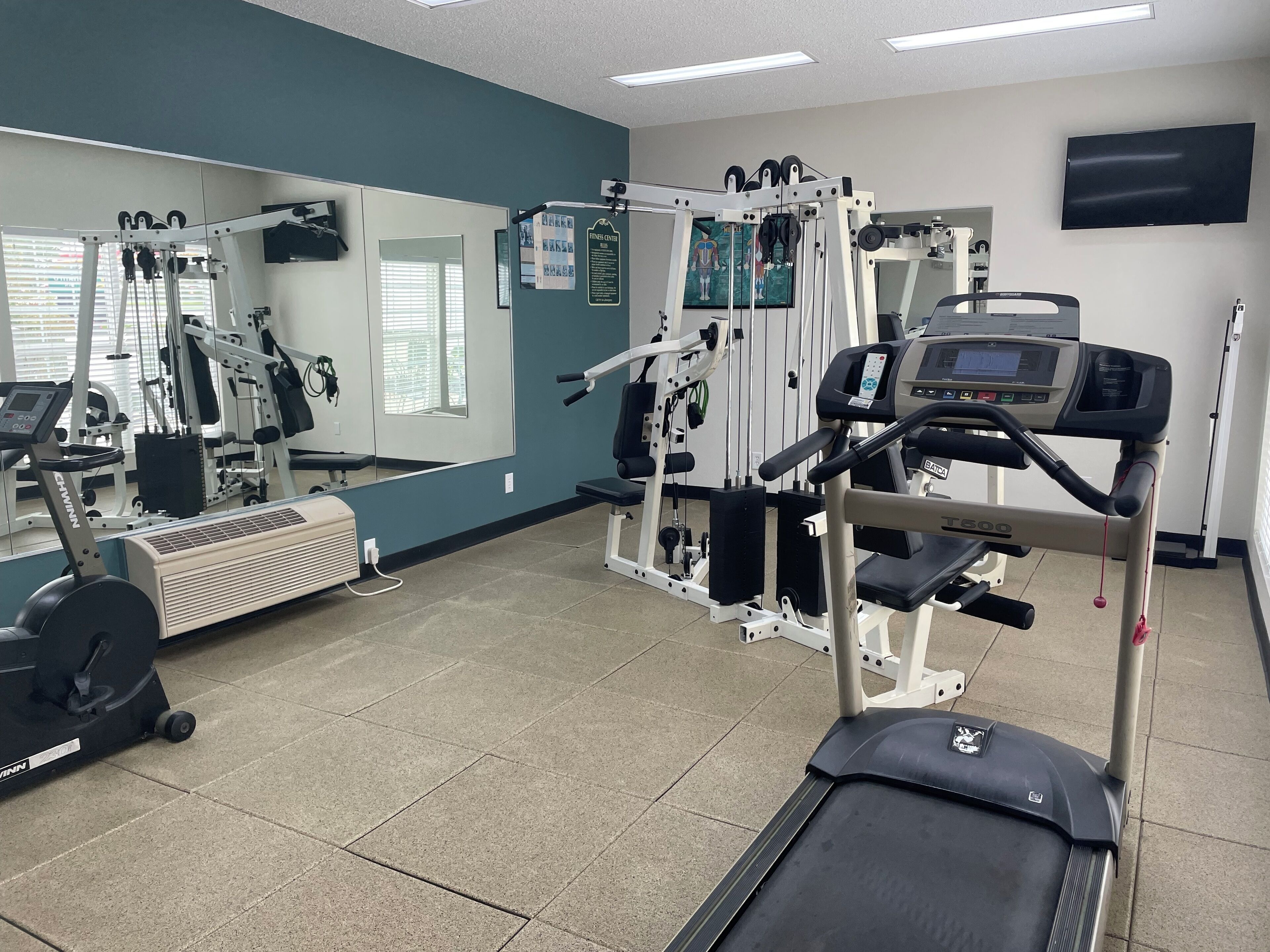 Ett gym med olika typer av träningsutrustning, inklusive löpband, styrketräningsmaskiner och en vägg med speglar.