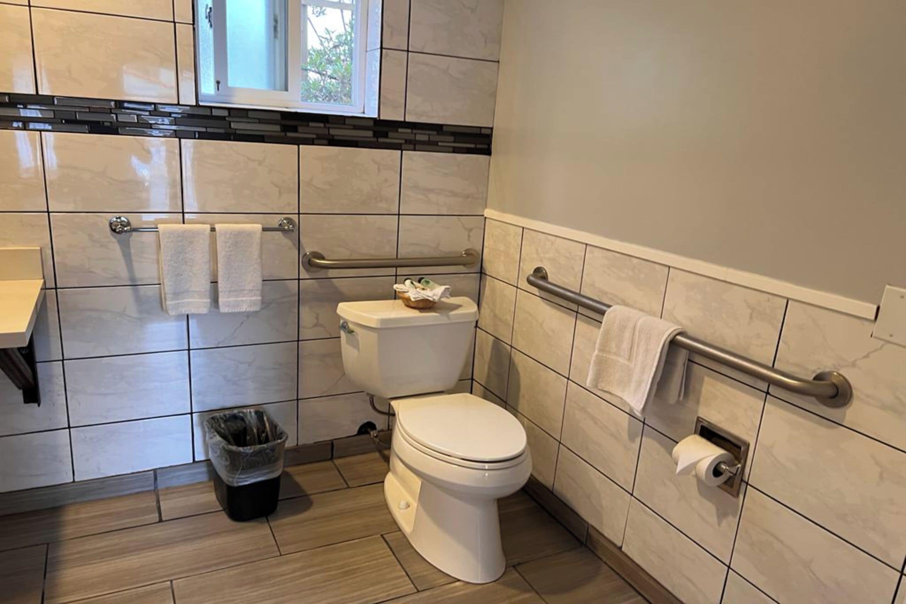 Standard Room, 1 King Bed, Accessible, Non Smoking | Bathroom | Shower, free toiletries, hair dryer, towels