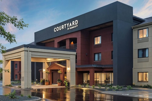 Courtyard Minneapolis St. Paul/Roseville by Marriott