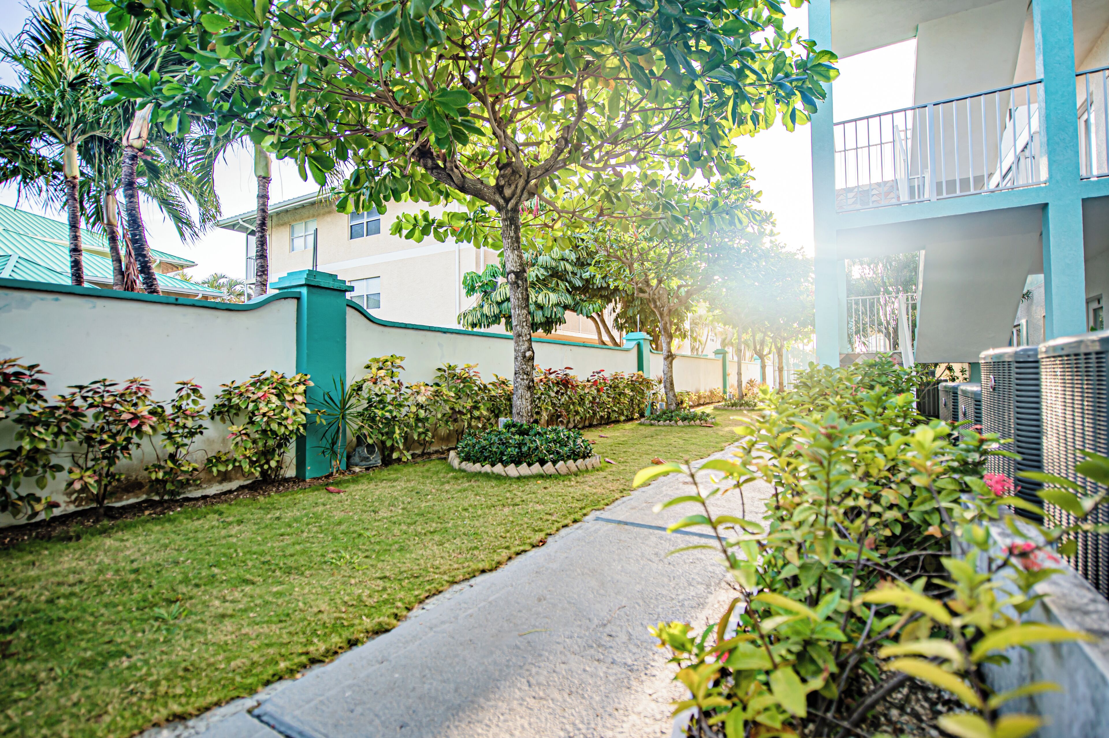 Zona residencial con un sendero, vegetación y un edificio con balcón.