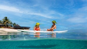 Deux personnes sont assises sur une planche de surf dans un océan d’un bleu limpide, avec une plage et des palmiers en arrière-plan.