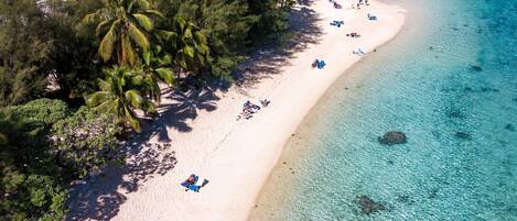 A beach with clear turquoise water, palm trees, and a few people sunbathing.