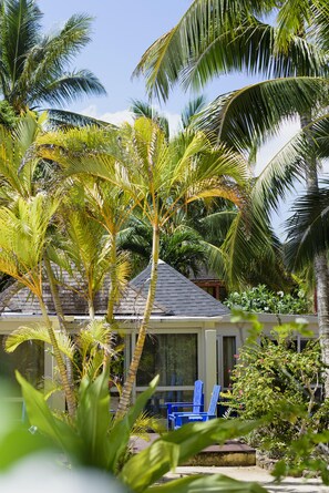 Deluxe Beachside Suite | Terrasse/patio