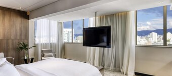 Mercure Belo Horizonte Lourdes Hotel