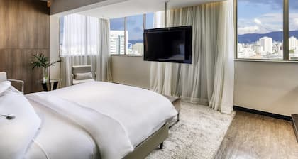 Mercure Belo Horizonte Lourdes Hotel