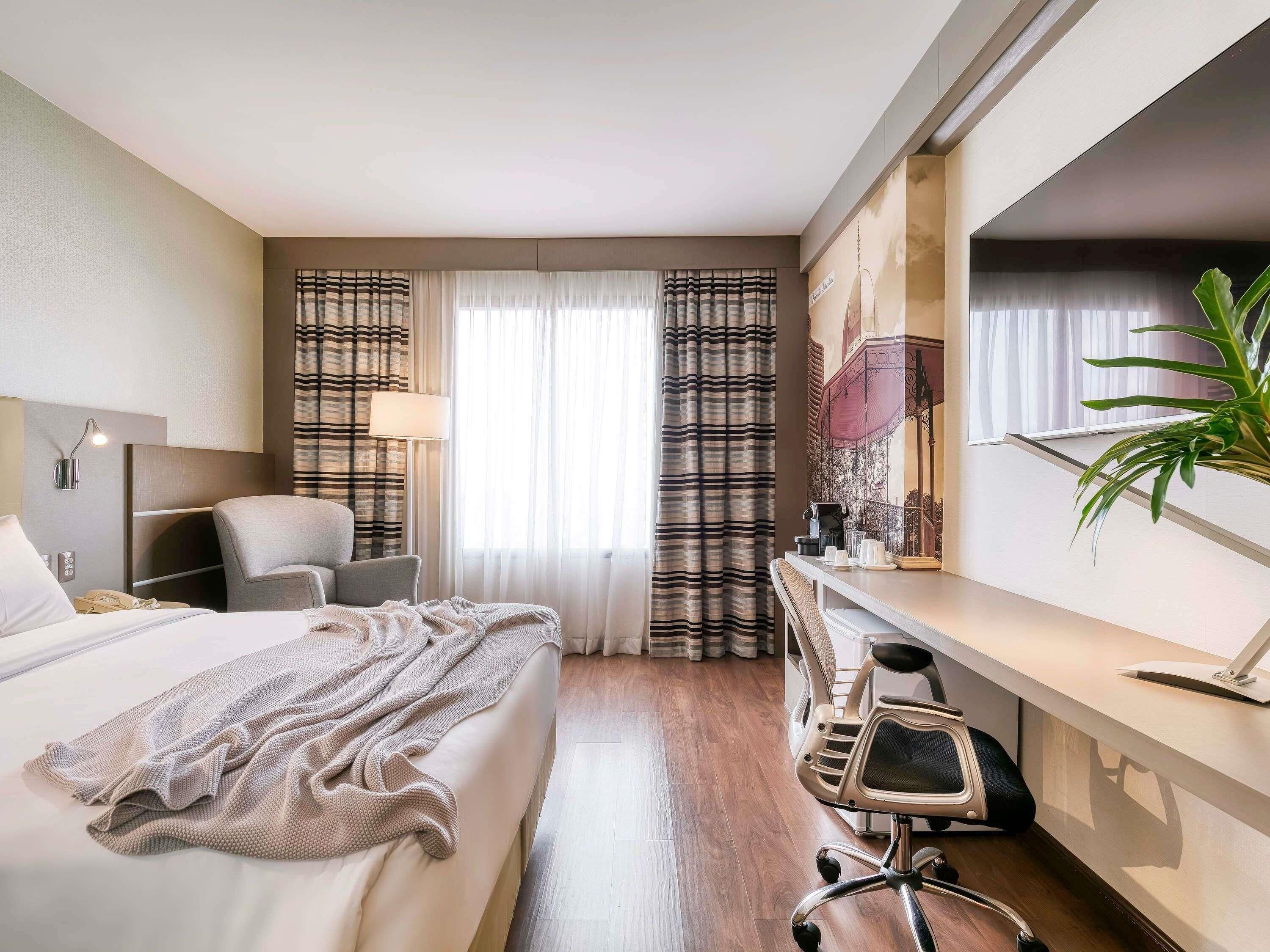 Habitación de hotel con cama, escritorio, silla y una planta grande.