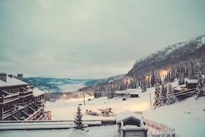 Ulkopuoli