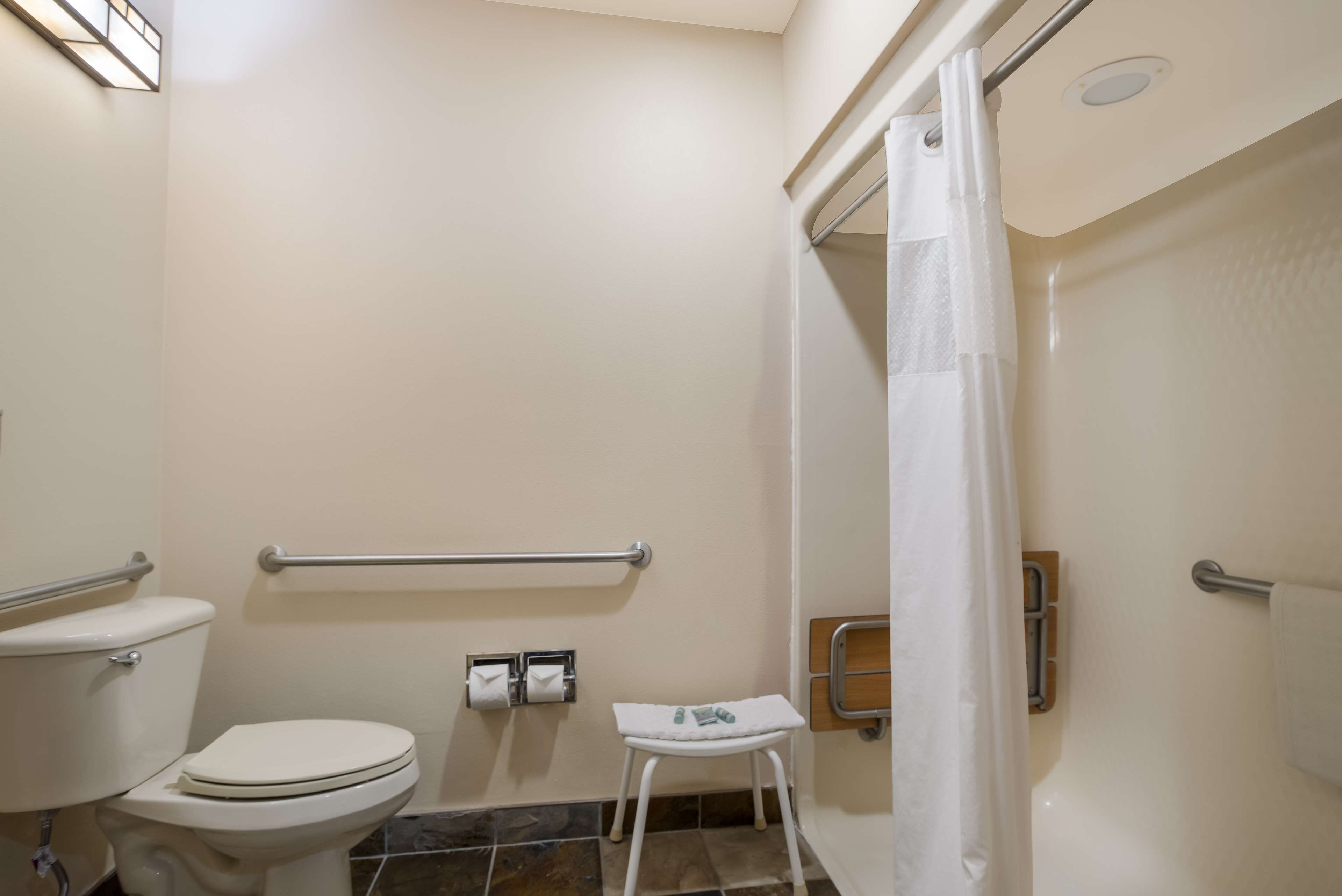 standard room, 1 queen bed, accessible, non smoking | bathroom | combined shower/bathtub, free toiletries, hair dryer, towels