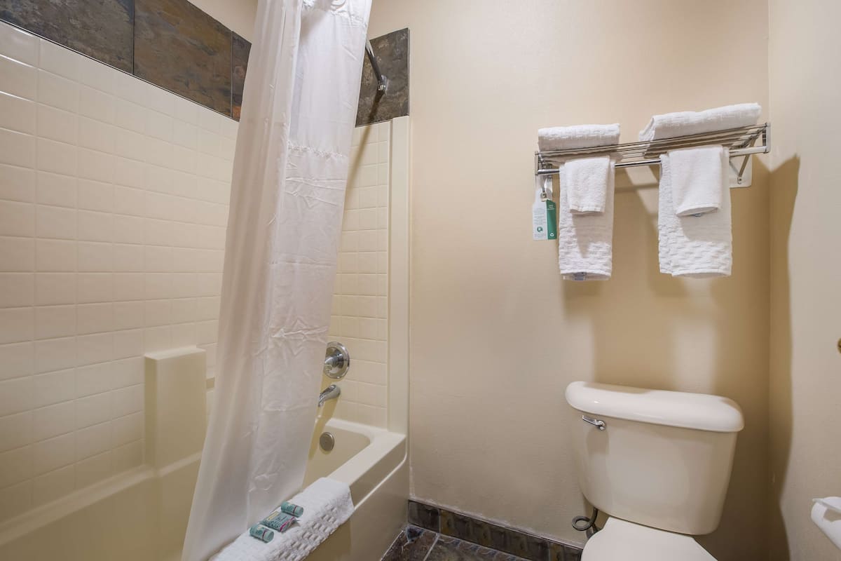 combined shower/bathtub, free toiletries, hair dryer, towels
