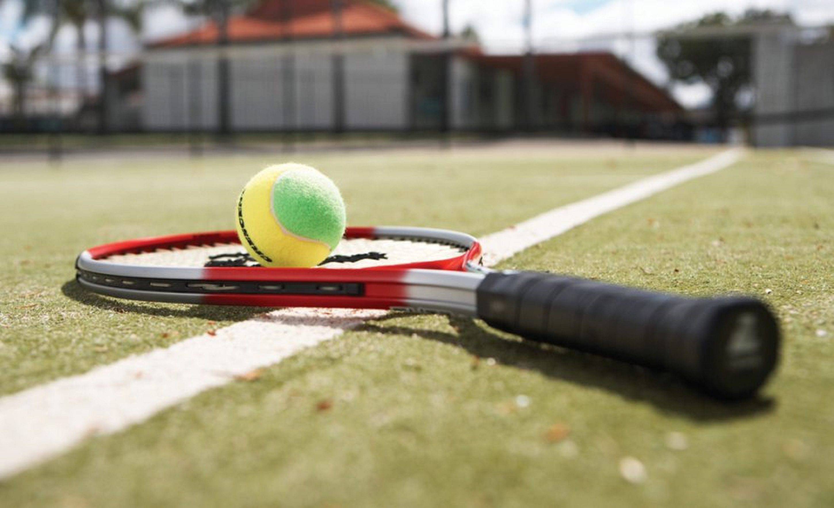 Ein Tennisracket und ein Ball auf einem Rasenplatz.