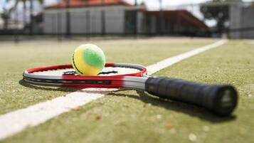 Ein Tennisracket und ein Ball auf einem Rasenplatz.