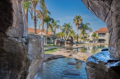 Outdoor pool, pool umbrellas, sun loungers