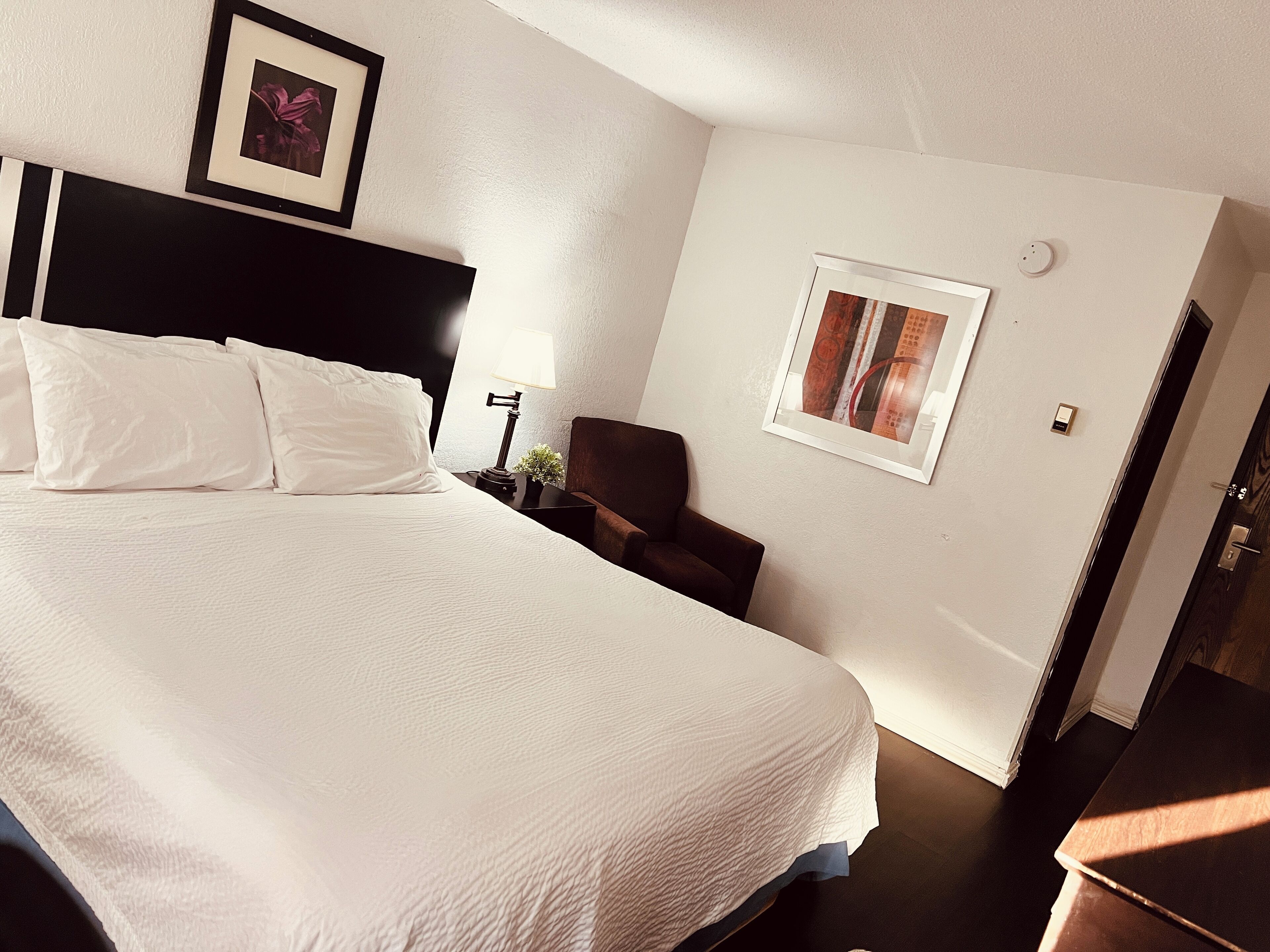 Habitación de hotel con una cama grande, una mesita de noche, una silla, un cuadro enmarcado en la pared y una puerta.
