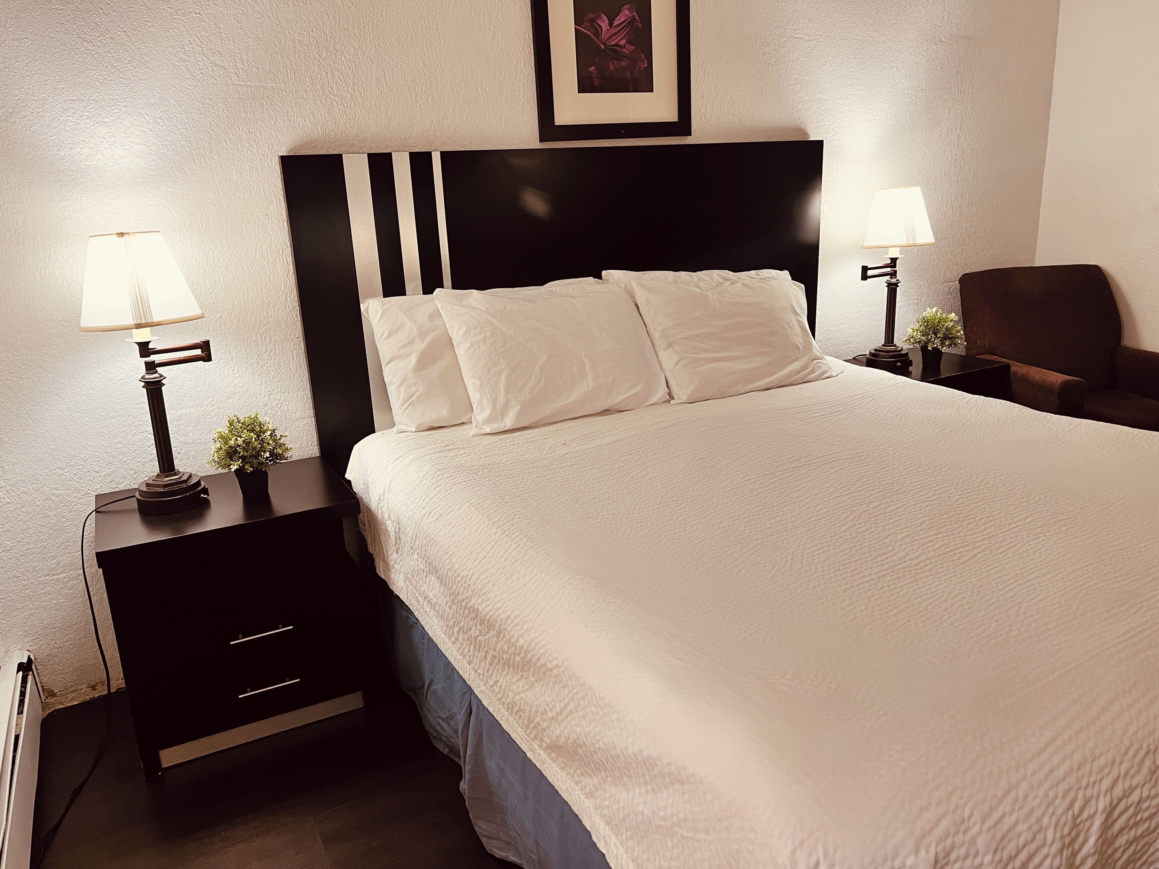 A neatly made bed with white linens and a black headboard, flanked by two bedside tables with lamps and small potted plants.