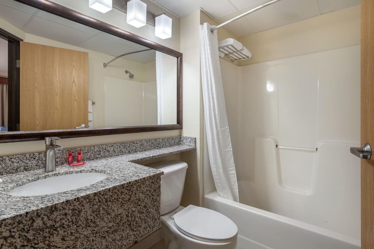 combined shower/bathtub, free toiletries, hair dryer, towels