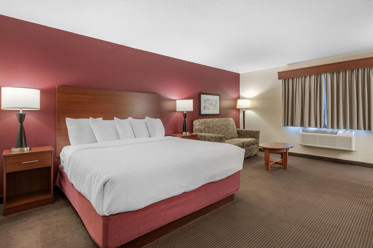 Standard Room, 1 King Bed, Non Smoking, Refrigerator & Microwave (with Sofabed)