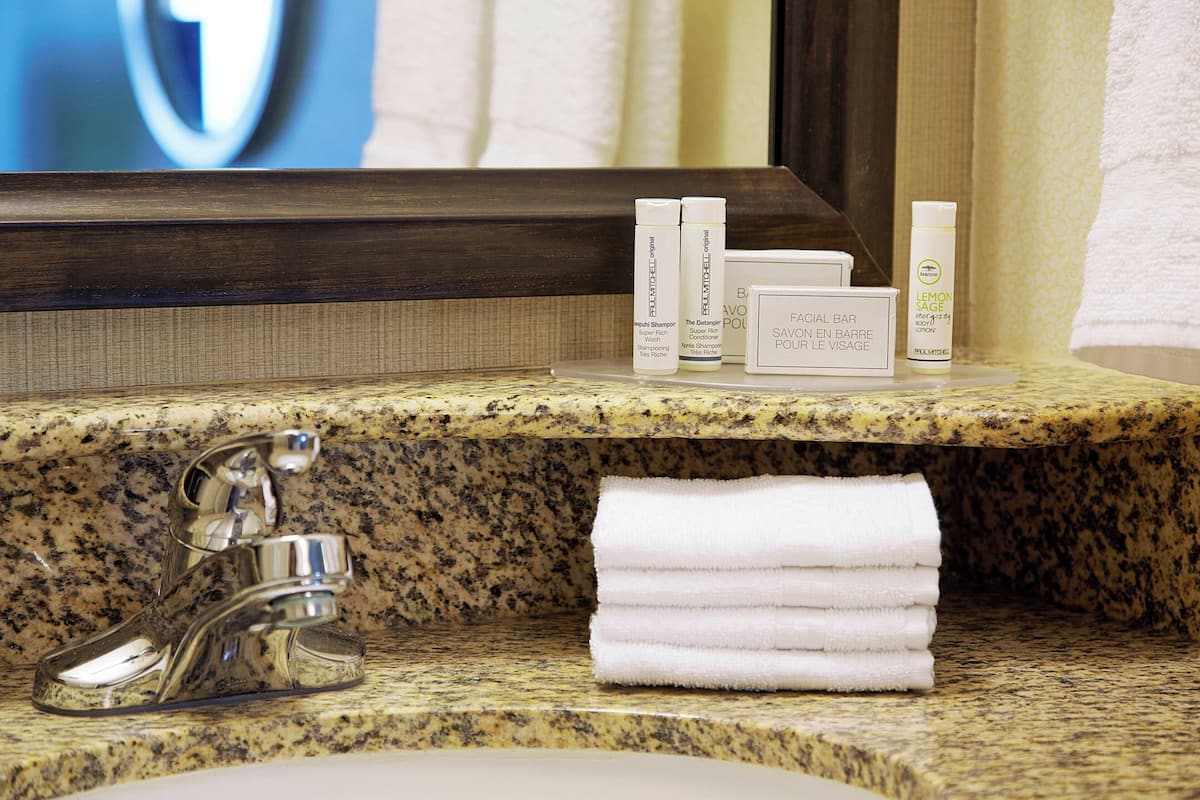 combined shower/bathtub, free toiletries, hair dryer, towels