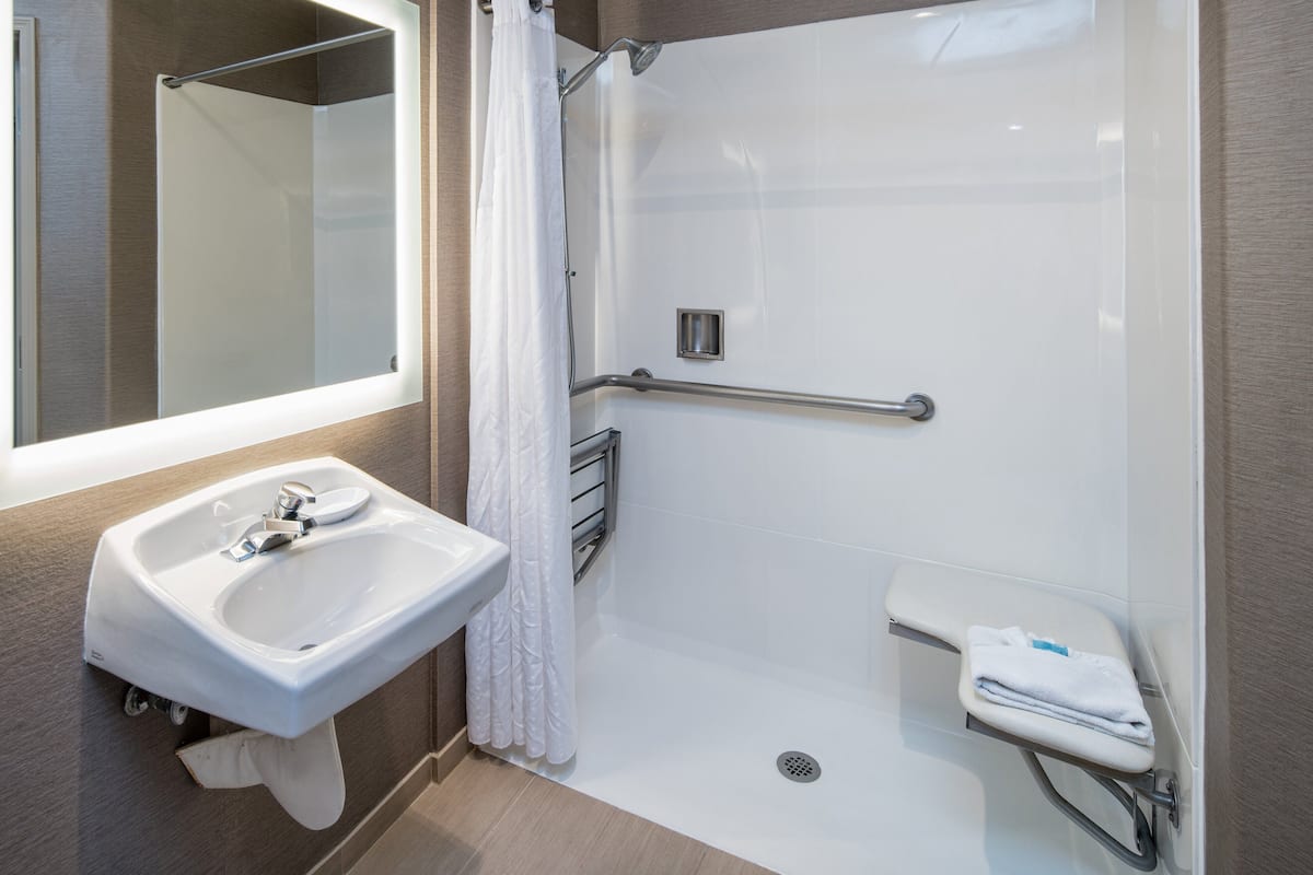 Standard Room, 1 Queen Bed, Roll-in Shower (Mobility Accessible) | In-room safe, desk, iron/ironing board, rollaway beds
