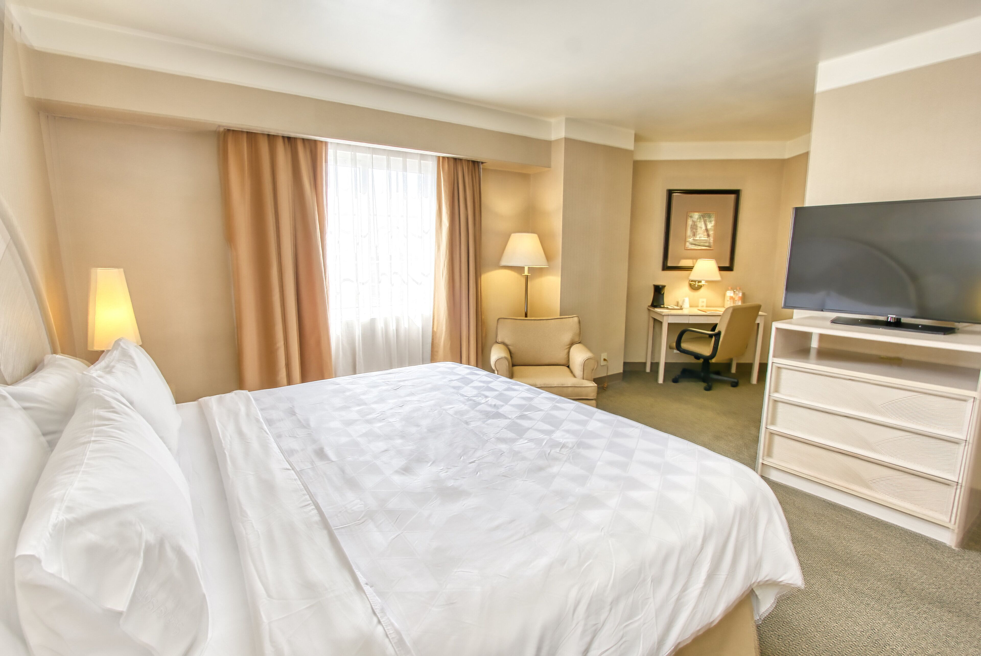 A hotel room with a large bed, a desk, a chair, a television, and a dresser.