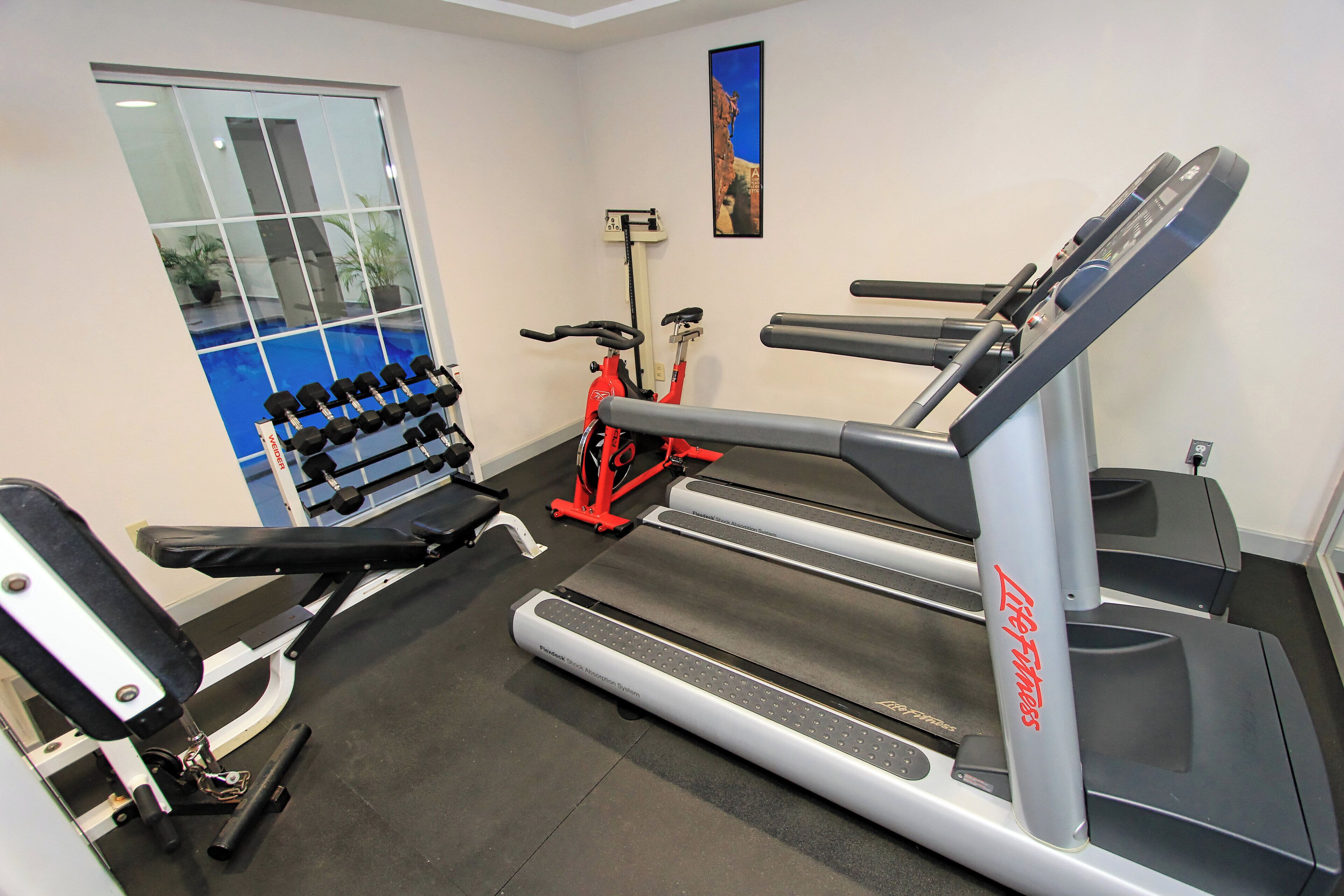 Un gimnasio con cintas de correr, mancuernas y un banco.