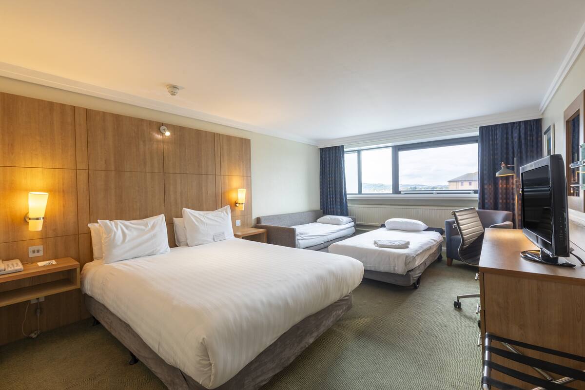 standard room, 1 double bed with sofa bed | 1 bedroom, desk, blackout curtains, soundproofing