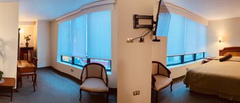 Habitación de hotel con una cama, un escritorio con silla, una planta en maceta, una ventana con vistas y un televisor montado en la pared.
