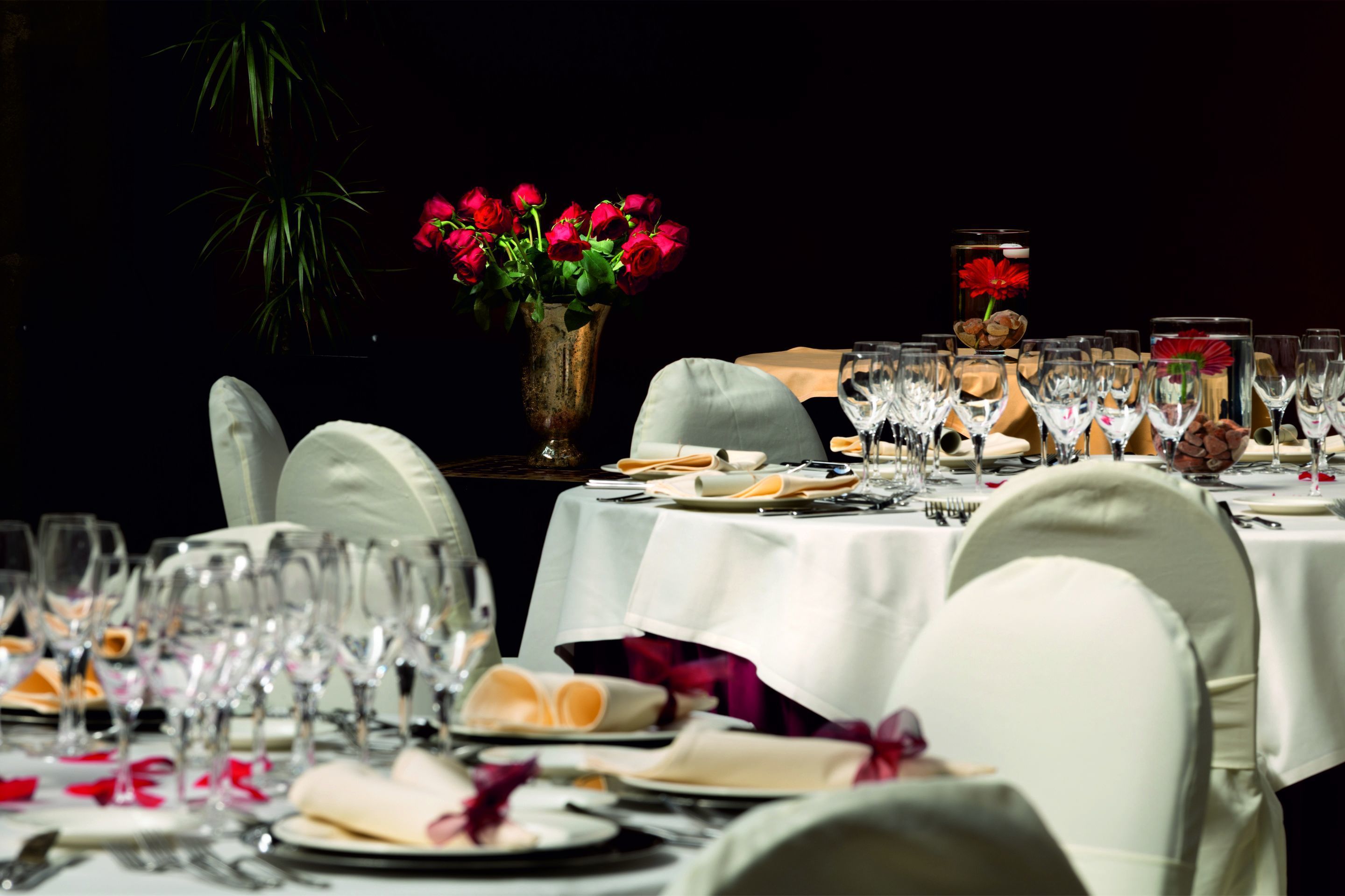 Una elegante disposición para el comedor con varias mesas, sillas y un jarrón de rosas rojas.