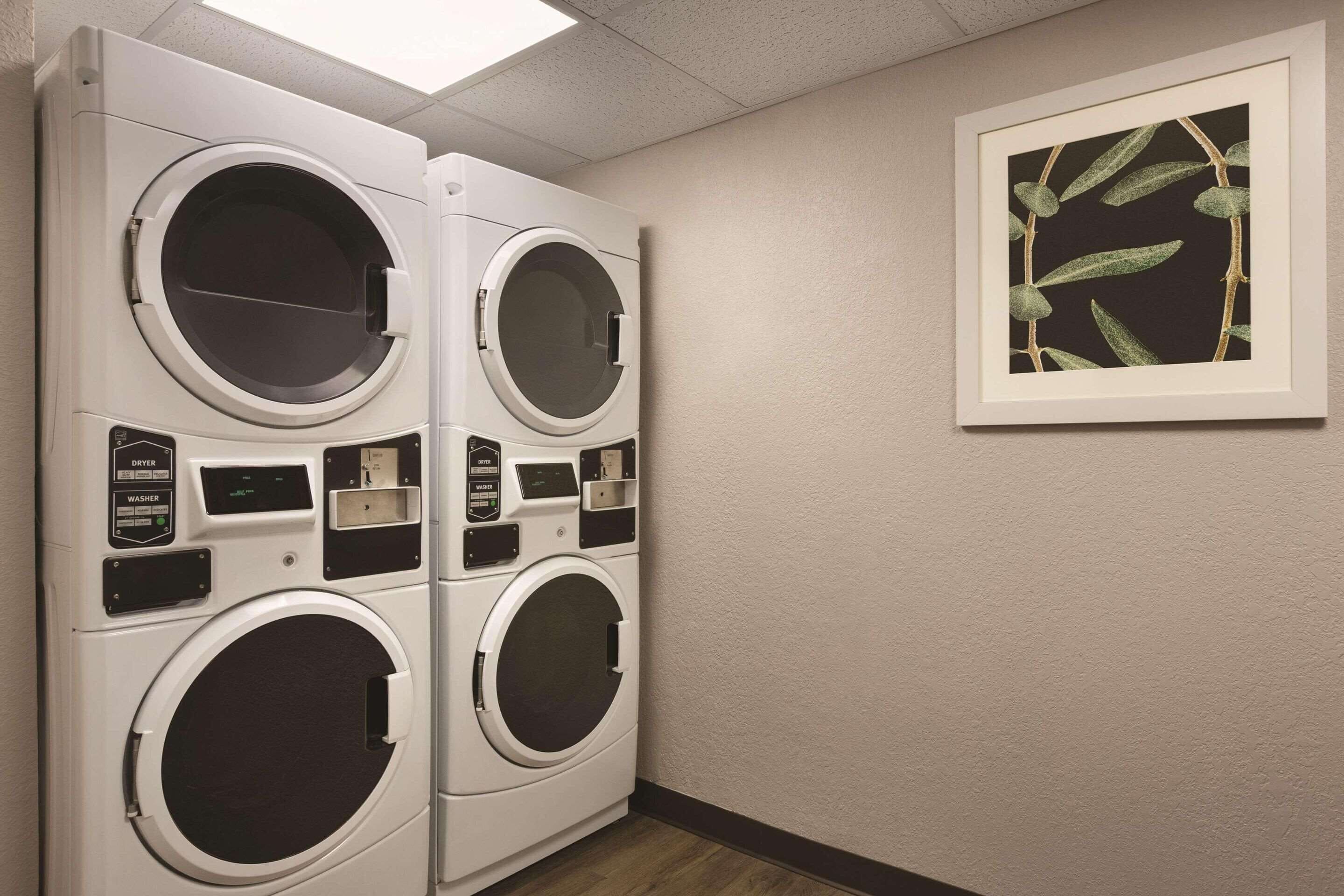 A laundry area with four stacked washing machines and a framed botanical print on the wall.