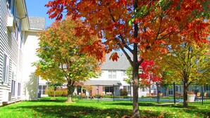 A grassy courtyard with a tree displaying red and yellow leaves, a white building with a black fence, and a clear blue sky.