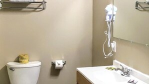 A bathroom with a toilet, a sink, and a mirror.