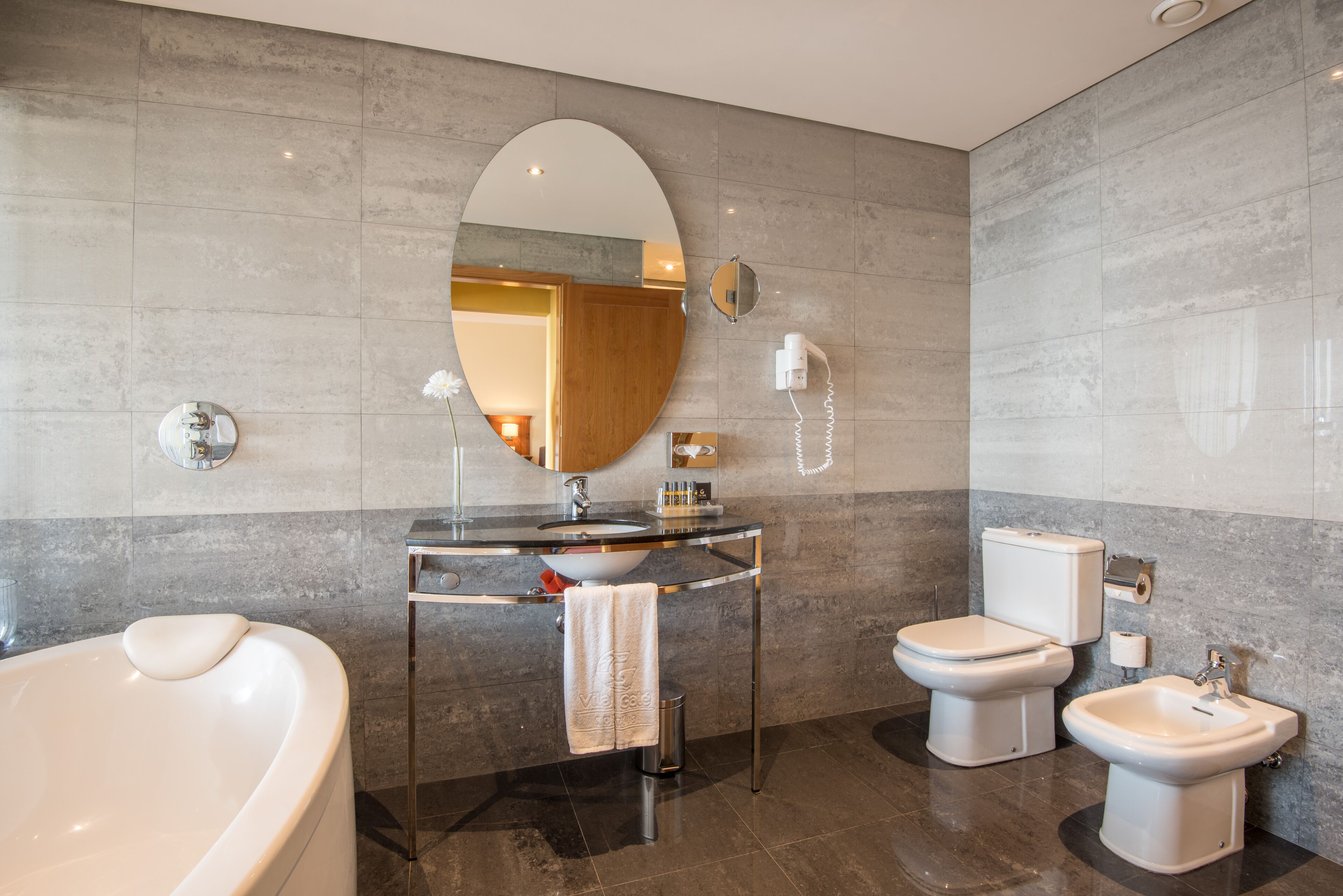 combined shower/bathtub, free toiletries, hair dryer, bidet