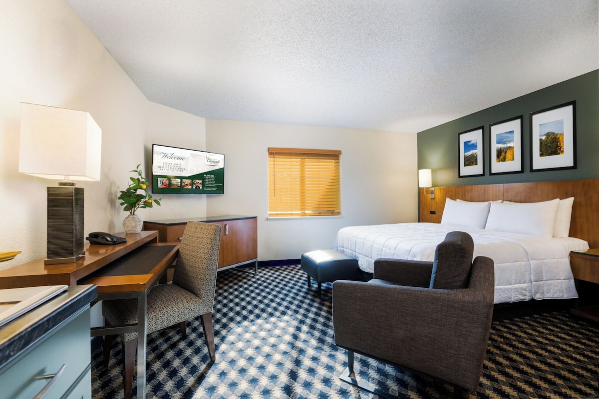 A hotel room with a bed, a desk with a lamp, a chair, a small table, a potted plant, a wall-mounted TV, and framed pictures.