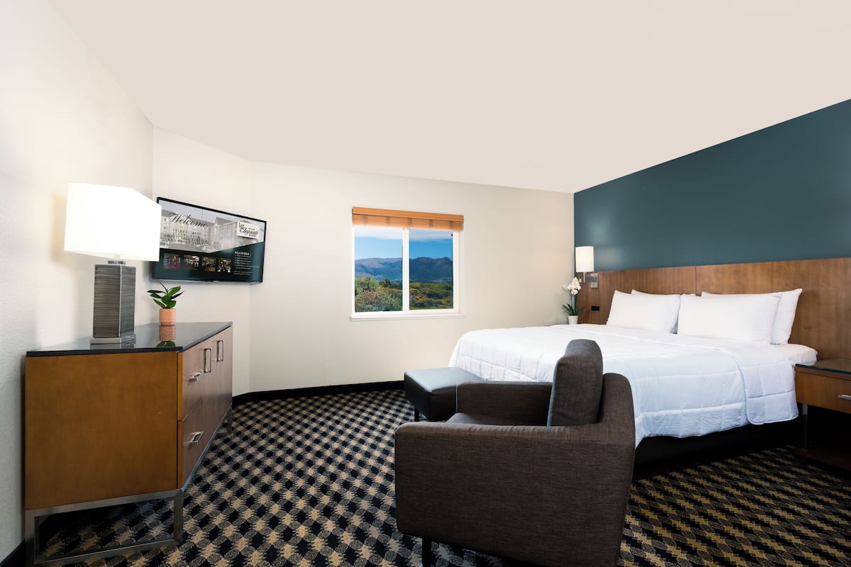 Studio, 1 King Bed, Mountain View | Mountain view
