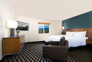 Studio, 1 King Bed, Mountain View | Mountain view