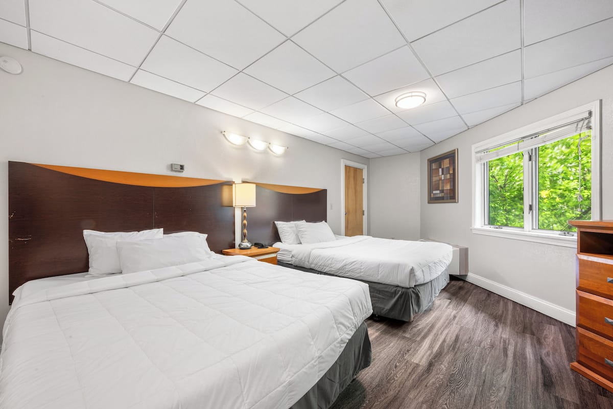 Ein Hotelzimmer mit zwei Betten, einem Holzkopfende, einem Nachttisch mit Lampe, einem Fenster mit Blick auf Grünflächen und einem Holzschrank.