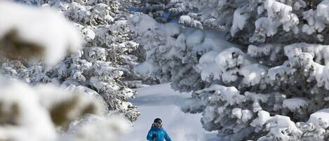 Un skieur sur une pente enneigée, avec des arbres couverts de neige.